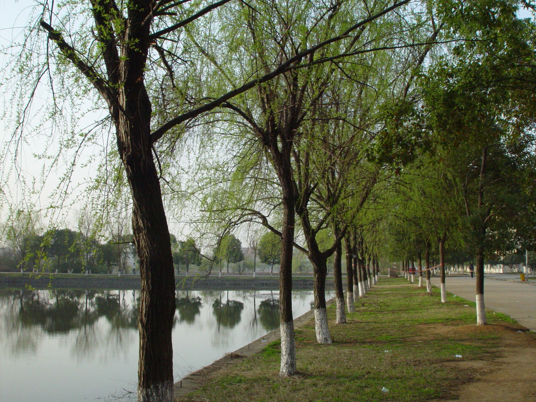 DSC06456.JPG